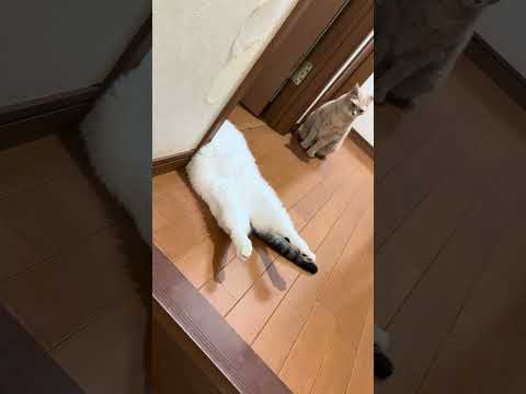 階段を上がった先に広がる絶景
