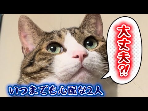 父ちゃんがYouTuberだったら サムネイル