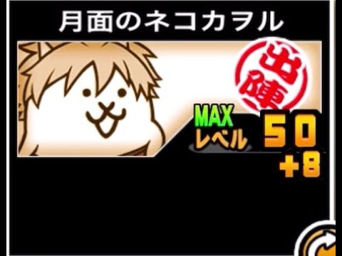 話題のフリー動画素材で魅せる！最後のシ者の新しい表現方法 サムネイル