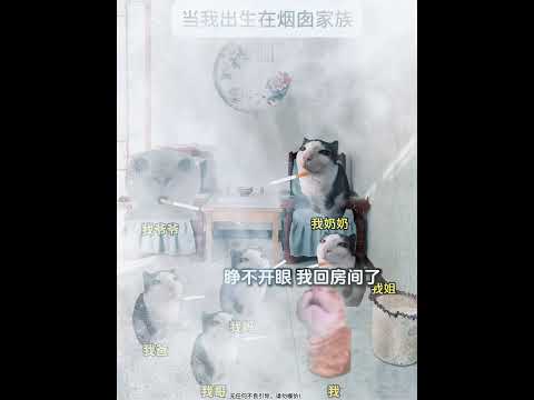 当我出生在烟囱家族有趣 猫meme 猫meme剧场 猫meme小剧场 内容过于真实  故事 貓 猫猫meme小剧场 喵… サムネイル
