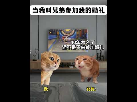 当我叫兄弟参加我的婚礼 有趣 猫meme 猫meme剧场 猫meme小剧场 内容过于真实  故事 貓 猫猫meme小剧… サムネイル