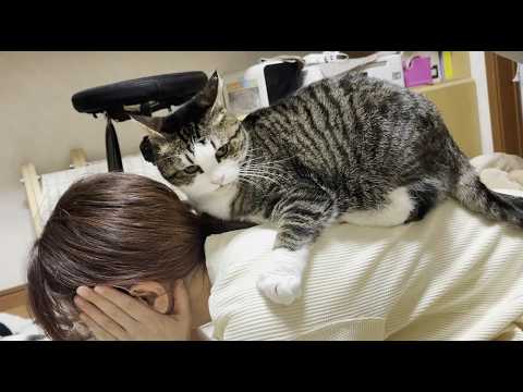 お母さん、今度は猫に噛まれてる サムネイル