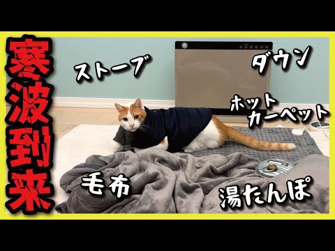 【マイナス２度】寒がりな猫に暖房グッズを大量に用意してあげました！！！