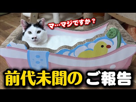 史上初の展開…皆さまにご報告があります サムネイル