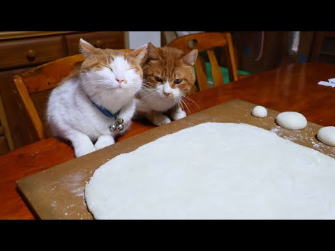 猫たちとくるみ餅作り Peeling Fresh Walnuts  　251230 サムネイル