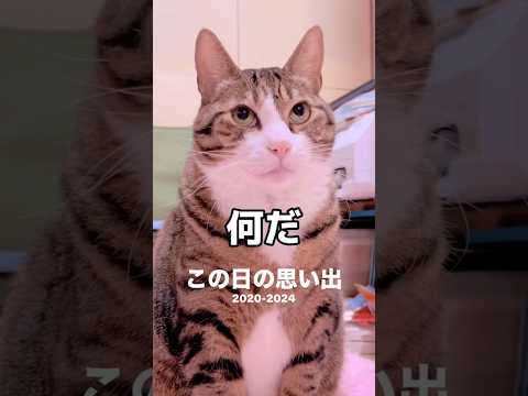 話題沸騰！球太の愛らしい表情を見逃すな サムネイル