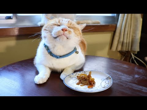ちゃぶ台の上のレンコンのキンピラ　260109 サムネイル