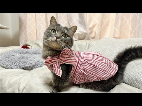 アクアとフランマ がライブ配信中！ サムネイル