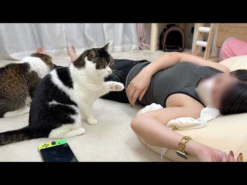 妹が起きるまで隣で寄り添ってくれるもふもふ猫 初稿