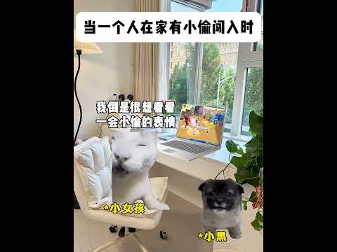 当一个人在家有小偷闯入时 有趣 猫meme 猫meme剧场 猫meme小剧场 内容过于真实  故事 貓 猫猫meme小… サムネイル
