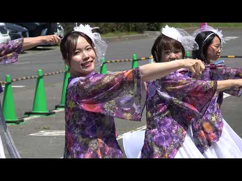 Team 偕花＠2026　ピオニウォークよさこい サムネイル