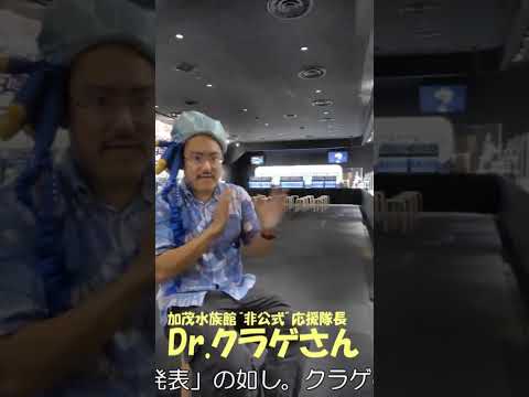 新生　加茂水族館のここがすごいよ！その⑩ 水族館 加茂水族館 aquarium Dr.クラゲさん