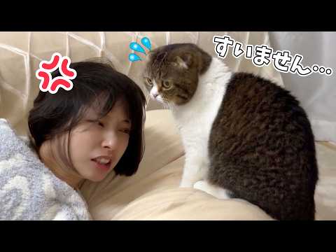深夜に寝落ちしたママを起こしてあげたら激怒された猫がこちらです…w