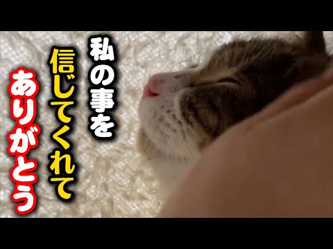 保護した妊婦猫…ついにその瞬間が訪れました サムネイル
