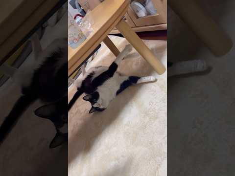 どうなってんの？ サムネイル