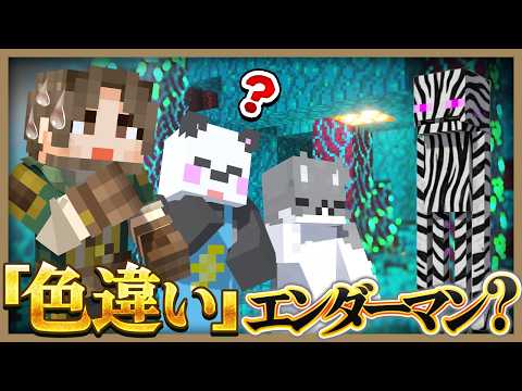 初心者と一緒にエンドラ討伐に行ったら予想外な事件で大変なことに！【マイクラ】