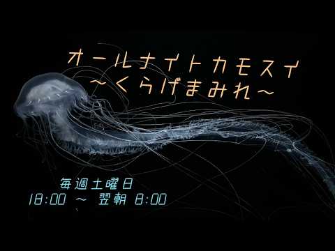 オールナイトカモスイ　～くらげまみれ～ 249　アトランティックベイネットル サムネイル