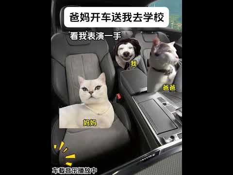 给老爸老妈露一手 有趣 猫meme 猫meme剧场 猫meme小剧场 内容过于真实  故事 貓 猫猫meme小剧场 喵… サムネイル
