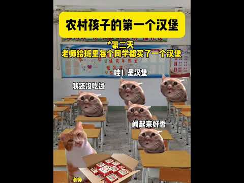 农村孩子的第一个汉堡 有趣 猫meme 猫meme剧场 猫meme小剧场 内容过于真实  故事 貓 猫猫meme小剧场…