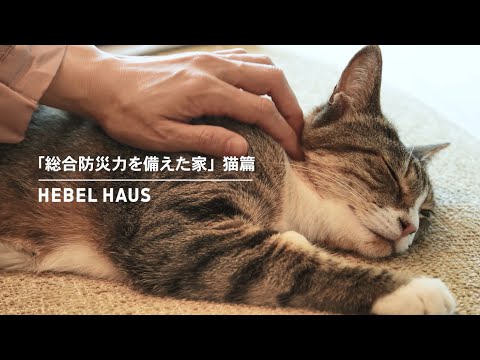 HEBEL HAUS｜ペットが幸せ、というしあわせ。 サムネイル