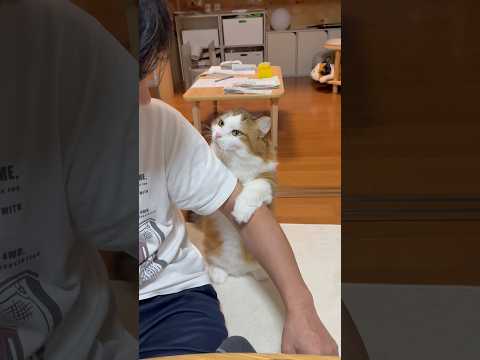 なぁオレもご飯食べたいなぁ