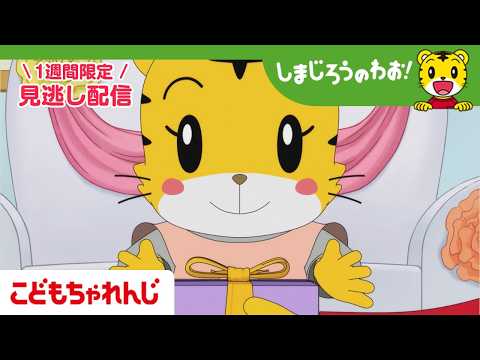 【見逃し配信】テレビ番組「しまじろうのわお！」 4月4日放送 ｜おたんじょうびかいは おおいそがし？｜718【しまじろ… サムネイル