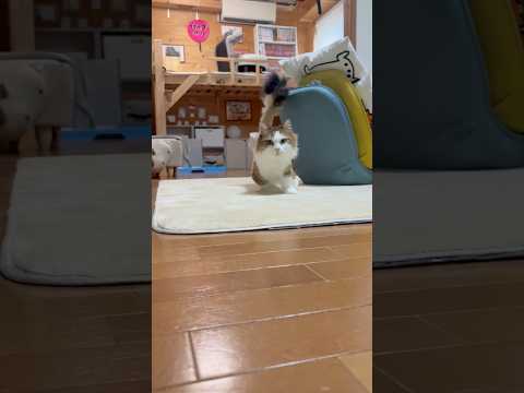 ちょっとフライングしちゃった サムネイル