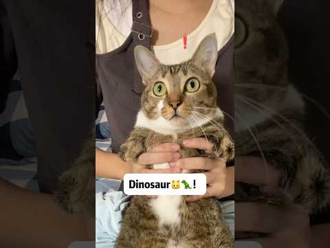It is dinosaur！ サムネイル