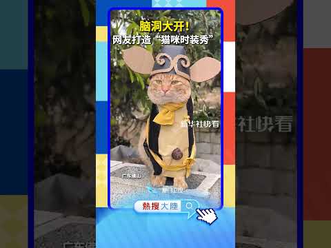 【萌寵】腦洞大開！廣東網友打造「貓咪時裝秀」 サムネイル