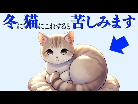 【冬に猫を苦しませてしまう飼い主の行動】猫の雑学 サムネイル