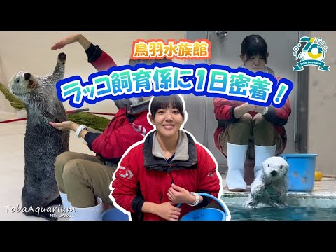《鳥羽水族館 開館70周年記念動画》飼育係に1日密着！～ラッコチーム編～ サムネイル