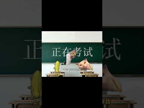 考试放屁传答案 有趣 猫meme 猫meme剧场 猫meme小剧场 内容过于真实  故事 貓 猫猫meme小剧场 喵不…