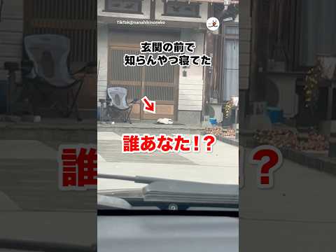 帰省したら知らん猫が家守ってた｜PECO サムネイル