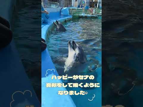 セナのまねっこ！？  shots サムネイル