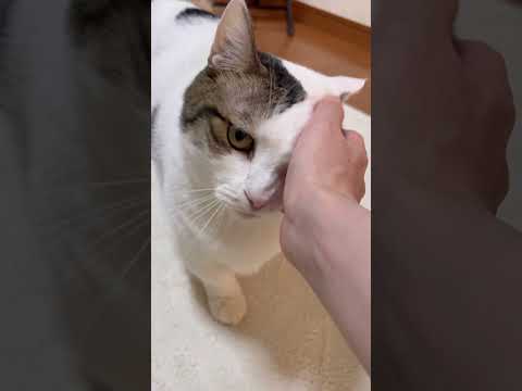 呼んどいて「どうしたん？」って何？