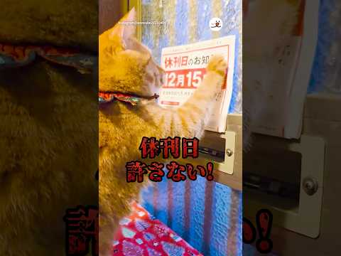 休刊日を許さない！｜PECO サムネイル