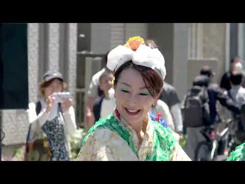 妃龍②＠2026　陣屋通り商店会一周年祭 サムネイル