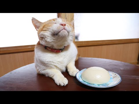 ちゃぶ台の上のあんまん　260124 サムネイル