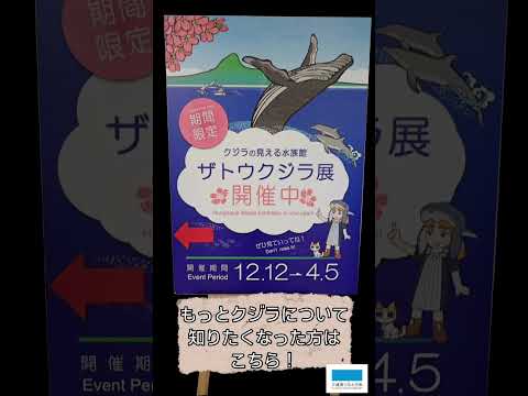 美ら海クラフト「大きさくらべぬりえ」 サムネイル