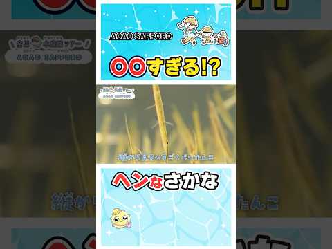 話題のヘコアユ！札幌水族館の神回を4コマで解説🐟