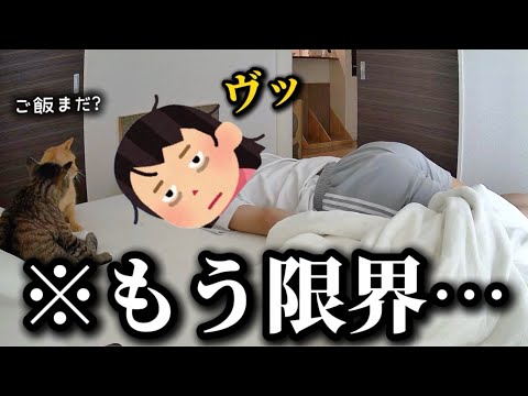 【寝不足】生後まもない子猫を保護したら想像以上に過酷な育児が始まりました サムネイル
