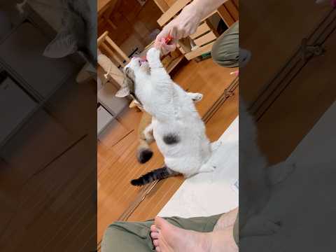 ちょっと疲れたから下げて