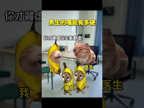 男生的嘴能有多硬 有趣 猫meme 猫meme剧场 猫meme小剧场 内容过于真实  故事 貓 猫猫meme小剧场 喵…