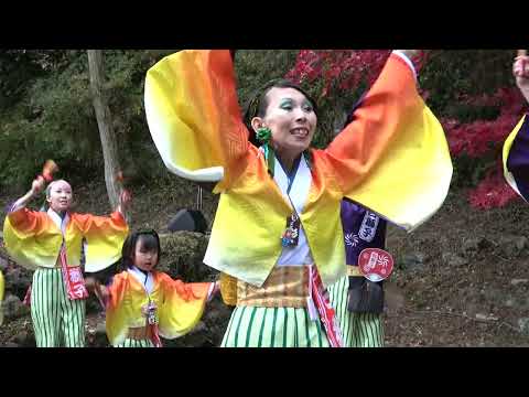 TEAM白獅子・舞KAGURA＠2025　東郷公園もみじまつり サムネイル