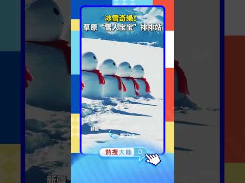 【大陸】冰雪奇緣！新疆草原「雪人寶寶」排排站 サムネイル