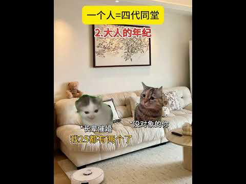 当一个人身上出现四代同堂的特质有趣 猫meme 猫meme剧场 猫meme小剧场 内容过于真实  故事 貓 猫猫mem… サムネイル