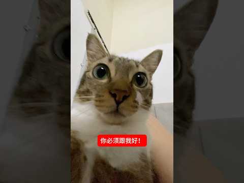 你必须跟我好 サムネイル