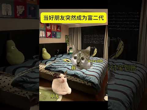 当我的好朋友告诉我，他是富二代有趣 猫meme 猫meme剧场 猫meme小剧场 内容过于真实  故事 貓 猫猫mem… サムネイル