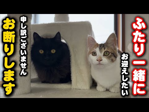 二人一緒の譲渡…せっかくのお話ですがお断りします サムネイル