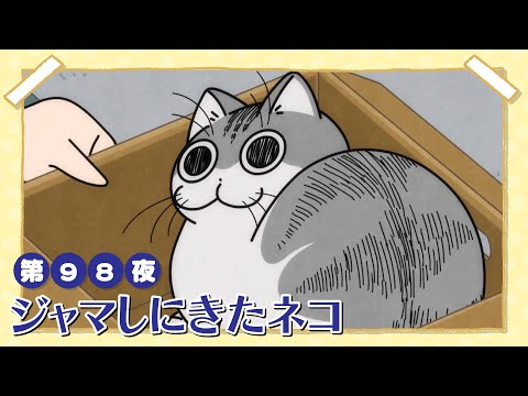 アニメ『夜は猫といっしょ』第98夜「ジャマしにきたネコ」 サムネイル